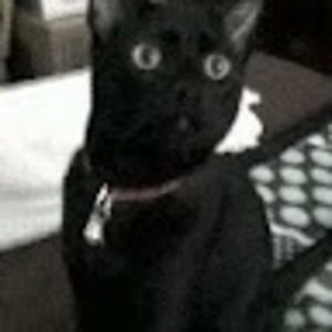 Meet your Posher, Angelita